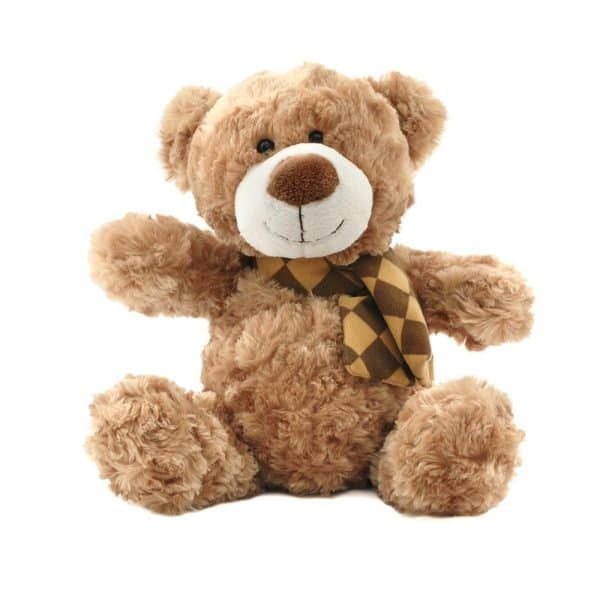 OSO DE PELUCHE
