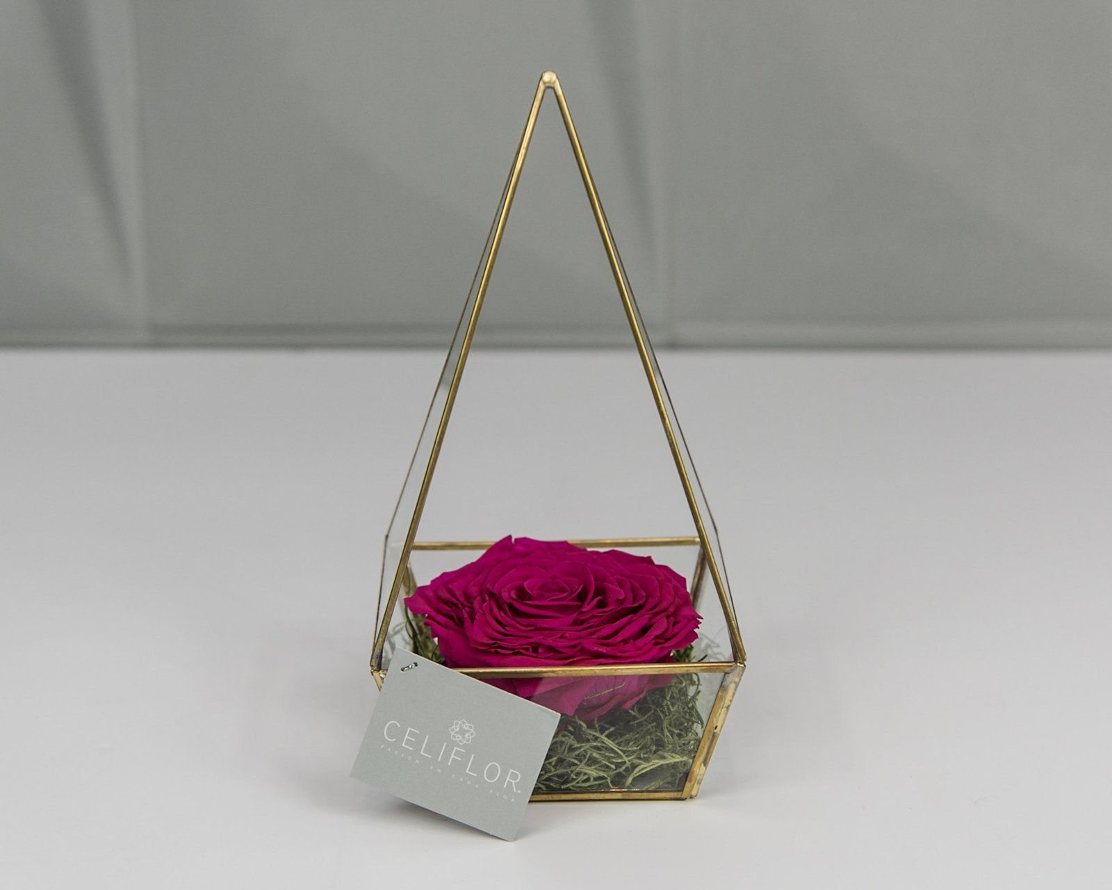 Por siempre 1 Por siempre